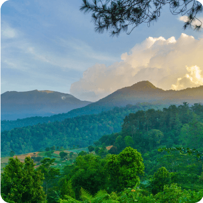 Bogor